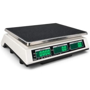 price computing scale